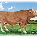 곡성-041 이미지