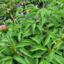 오륜농장 이미지