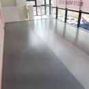 핑크강아지 이미지