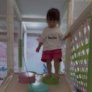 함안군보건소 | 오랜만에 키즈카페 즐겨 ~ 함안 ” 가야 어울림센터 ”