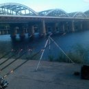 풍경장어 이미지