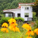 화이트캐슬평창 이미지