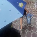 [Web발신] 안녕하세요 일반인 김밀키입니다. 길고 긴 여정 끝에 블로그를 작성했습니다. 괜찮다면 공감...