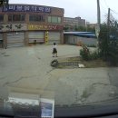 한농종묘 이미지