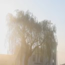 운산목장 이미지