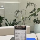 손의원 | 스노우의원 안산점 리쥬란힐러 손주사 맛집 후기🤍 통증, 가격, 위치 내돈내산 공유