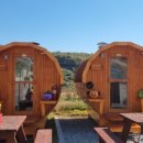 사담관광농원캠핑 | 아산글램핑 찾다가 반해버린 큰집관광농원감성캠핑 후기