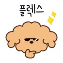 펫조아강아지조아