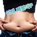 빅토리핏 이미지