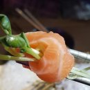 석전동269 | [마산/합성동] 합성동술집 '노크' - 마산술집 중 생연어사시미가 가장 맛있는 집! 여자들이 좋아할...