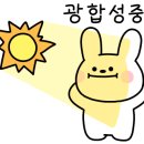 보떼리아헤어 이미지