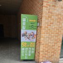 샐로랑 이미지