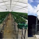 낙원 태양광발전소 이미지