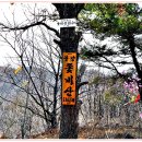 (228차)2017년 3월 19일 광양 다압면 쫓비산(536m)~매봉 매화축제 산행 이미지