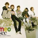 샤이니독 이미지