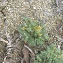 한남축산 이미지