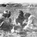 제주시절 이미지