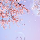 앙상블카페