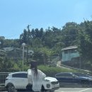 노랑고래꽈배기 이미지