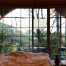 팜밸리리조트 이미지