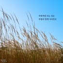 가을은 바람의 계절 ~~ 이미지