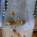 기포농장 이미지