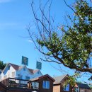 나무향기펜션2 이미지