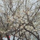 한미항외과의원 이미지