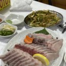 [여수 로컬 맛집 후기] 월성소주코너 / 싱싱게장마을 / 복춘식당 / 교동포차 7번포차 / 여수당 / 구봉...