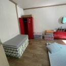 울릉도와 독도이야기펜션 이미지