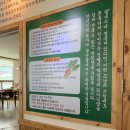 부산송정칼국수맛집 칼국수전문점-송정배가왕후기