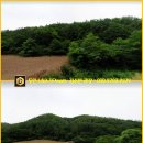 광천리 이미지