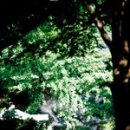 합계마을 이미지