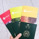 댕댕이모 이미지