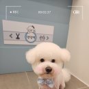 송내동3 이미지