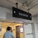 미국 라스베가스 숙소 베네시안 내돈내산 솔직후기