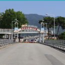 곡성 장미축제장을 다녀와서 이미지
