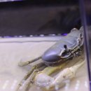 정글스토어 이미지