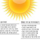 햇볕 이미지
