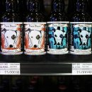 졸리 크래프트 이미지