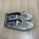 복현로 105 | 크린토피아 오니츠카타이거 운동화 물세탁 후기