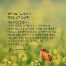 땅바닥을 기고 있는가, 창공을 날고 있는가? 이미지