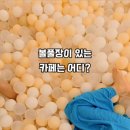 동네커피김포운양