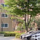 경수메디컬 이미지