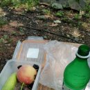 이마당약수터 이미지