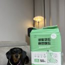 생활코드 배변패드 대형사이즈로 넉넉하게 사용하기 좋아요