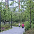 마곡하늬근린공원 이미지