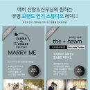 비타민여행사 이미지