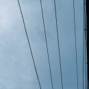 매그네이트 이미지