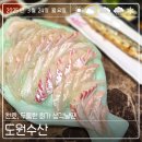 천호역횟집 어디가 좋아? 도원수산 솔직리뷰